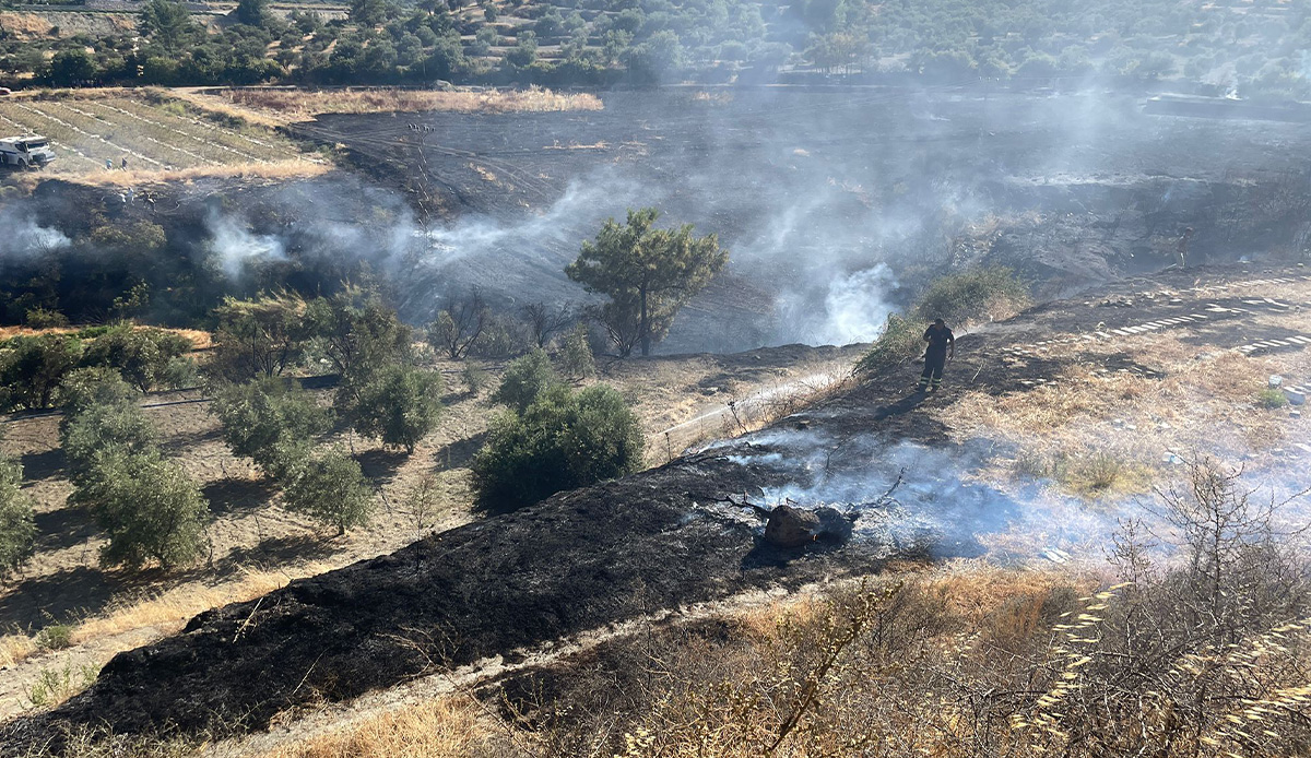 Hatay'ın Antakya ilçesinde zeytinlik ve ormanlık yangın çıktı