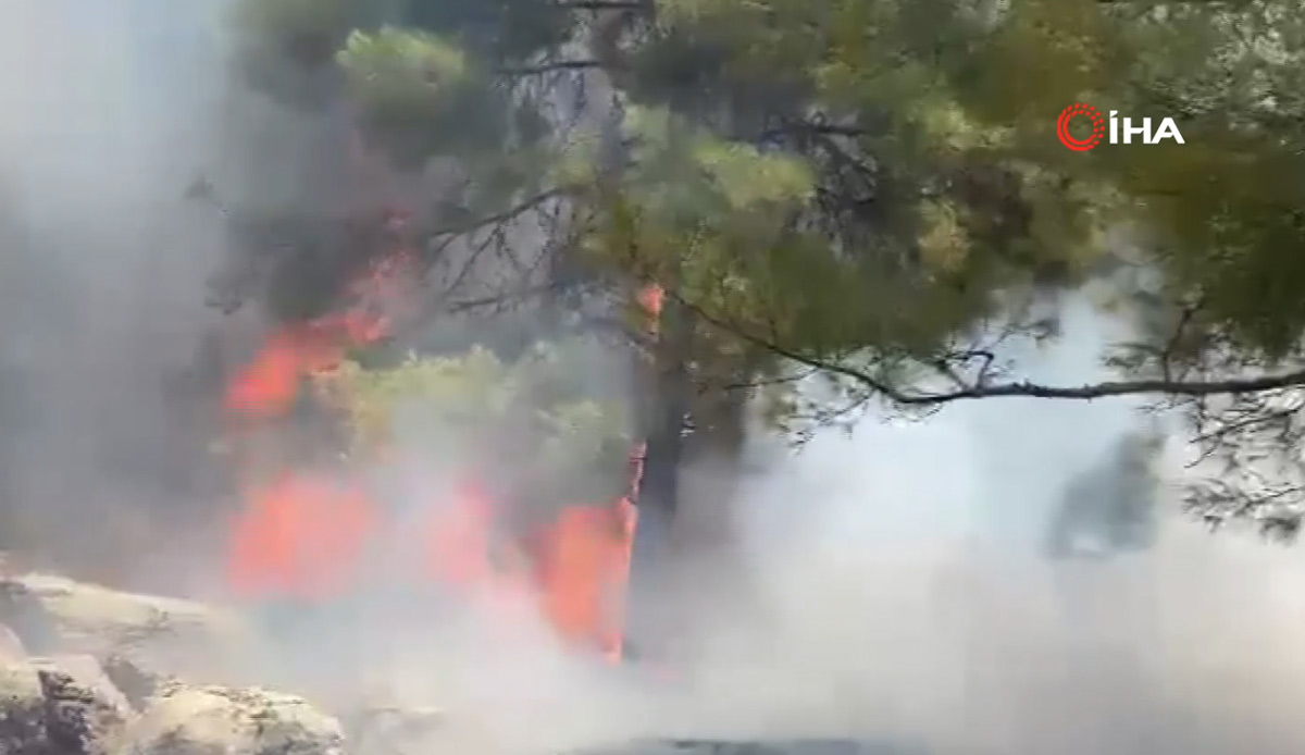 Adıyaman'da orman yangını! Ekiplerin müdahalesi sürüyor