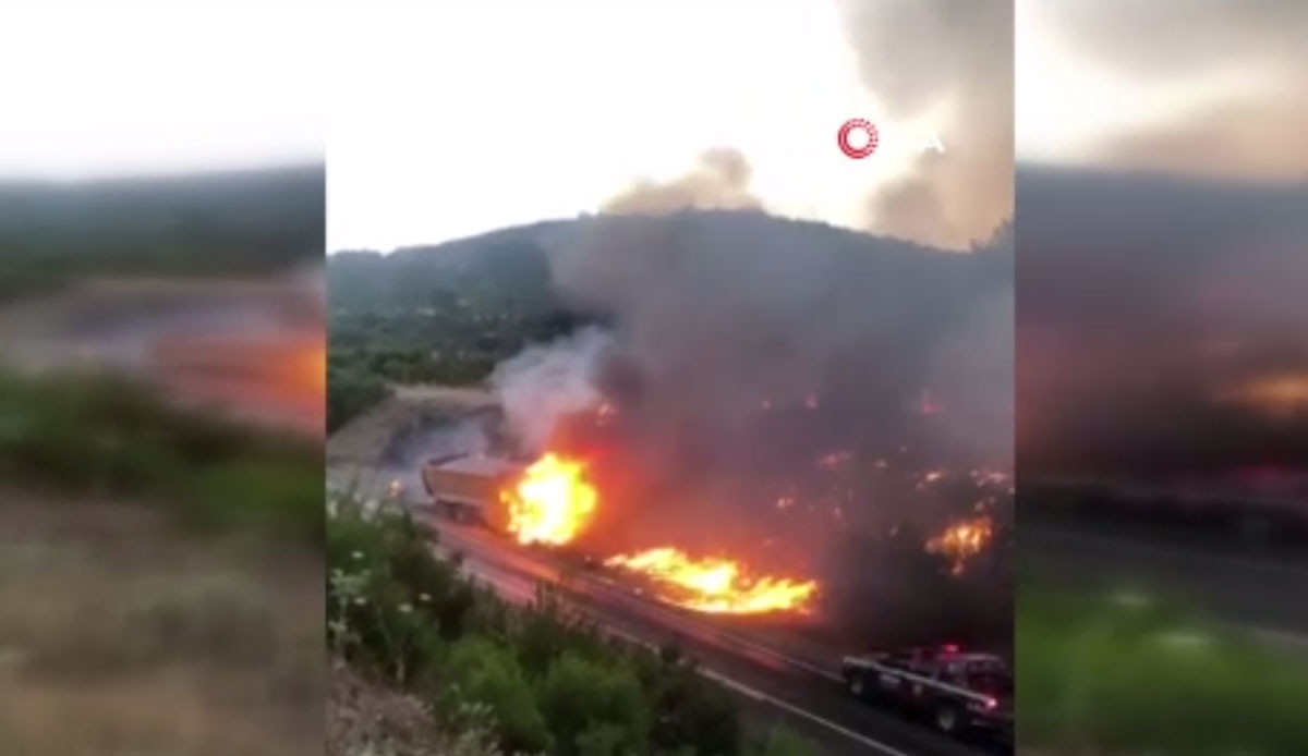 Manisa'da kamyonda çıkan yangın ormana sıçradı