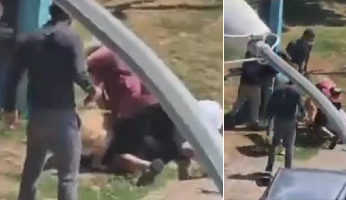 Kadıköy’de ağızlıksız pitbull dehşeti: Yaşlı kadının kolunu parçaladı, ‘vurmayın’ diye bağıranlar kameraya yansıdı