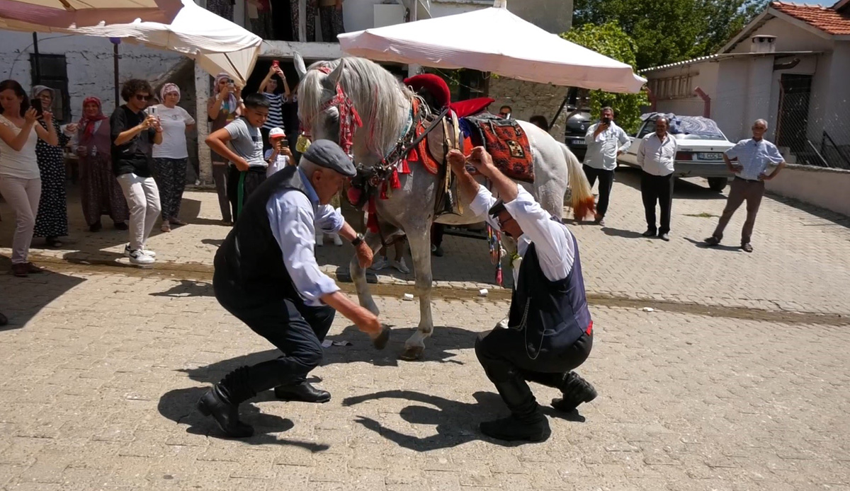 Harmandalı oynayan at görenleri şaşırttı, sahibiyle karşılıklı figürler yaptı