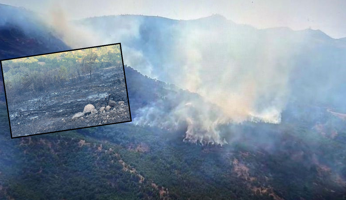 Siirt'teki orman yangını 52 saat sonra söndürüldü: 3 orman işçisi yaralandı