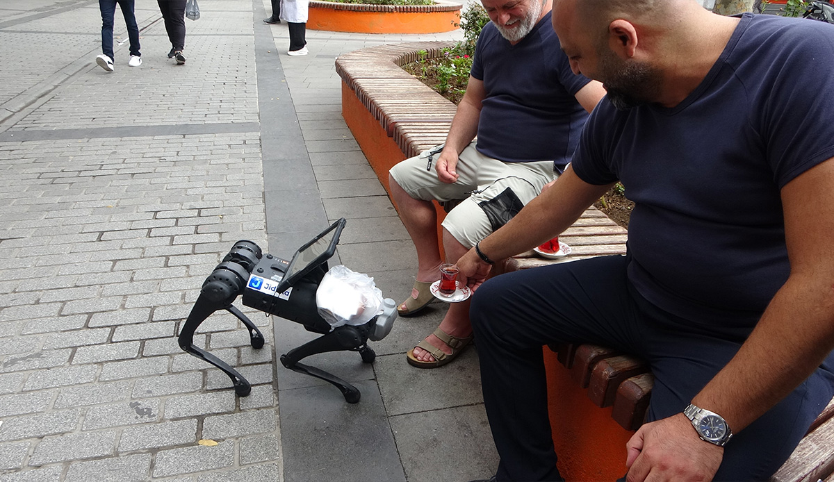 Sokakta gezen robot köpeğe çay ikram ettiler, ısırmasından korktular