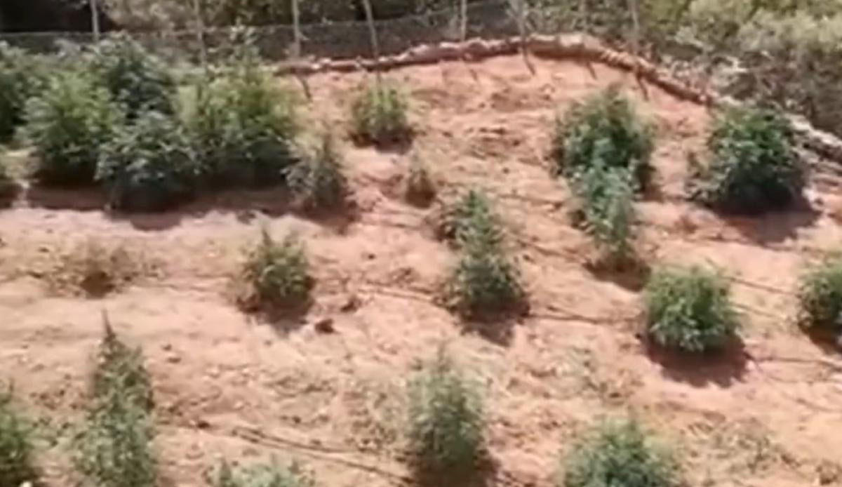 Terörün finans kaynağına darbe! Bakan Yerlikaya duyurdu:  36,4 milyar TL yasa dışı gelir engellendi