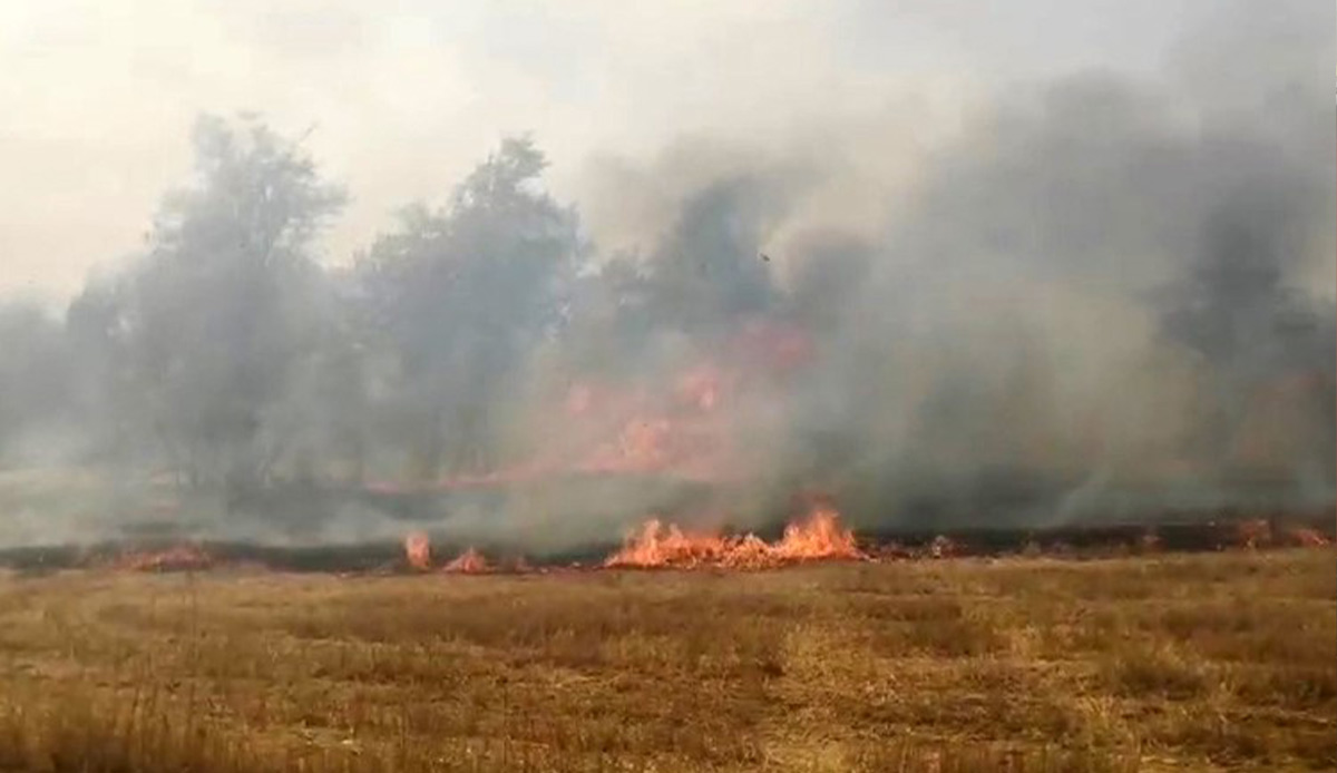 Traktörden sıçrayan yangın herkesi korkuttu, arı kovanları küle döndü