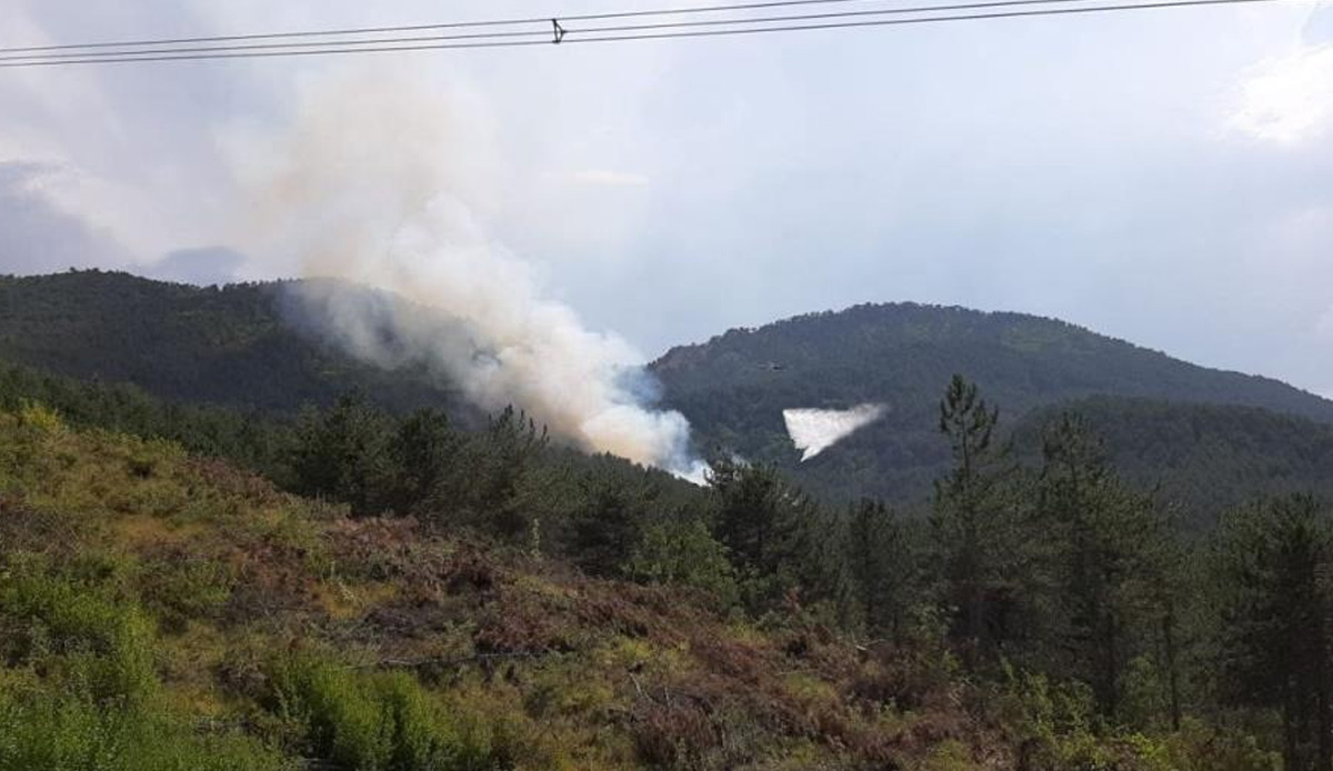 Bolu'da korkutan orman yangını