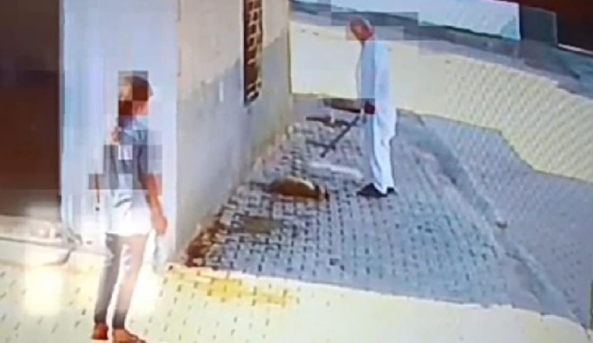 Mardin'de bir cani kendi halinde duran köpeği demir sopayla katletti