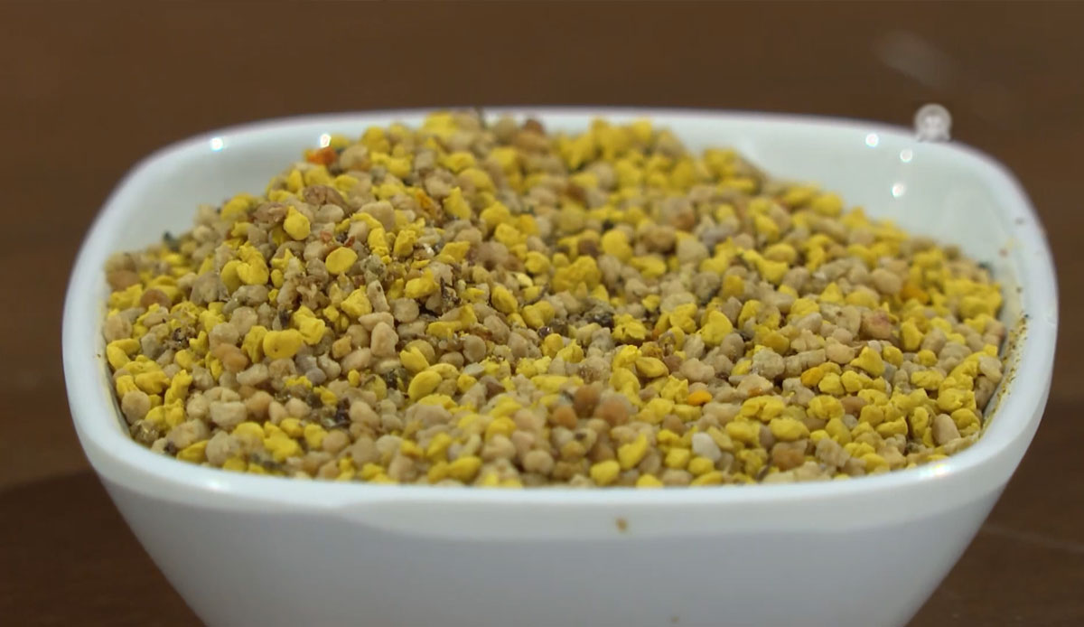 Bambaşka bir hasat: İğne oyası kadar zor! Kadınlar ev ekonomisine katkıda bulunuyor