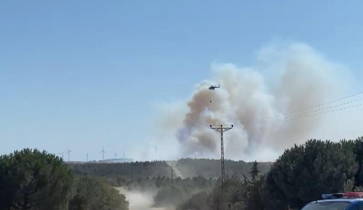 Silivri’de ormanlık alanda yangın