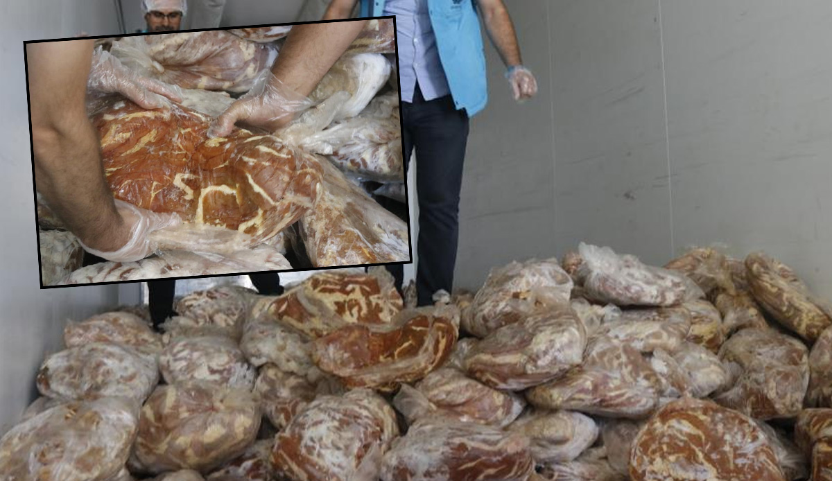 Mide bulandıran görüntülerin adresi Diyarbakır! 5 ton faturasız et ve sakatatlara el kondu, ceza kesildi