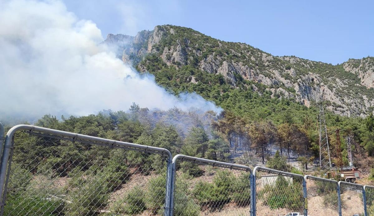 Bilecik orman yangını! Havadan karadan müdahale