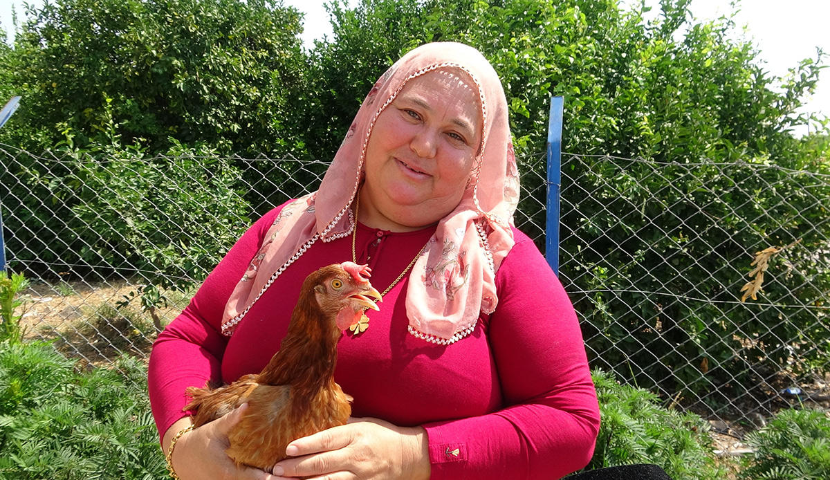Beslediği tavuğun yumurtalarını toplayan çiftçi hayatının şokunu yaşadı: İlk defa görüyorum