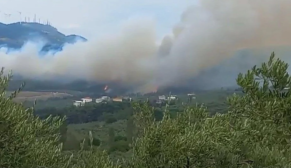 Bursa’da orman yangını