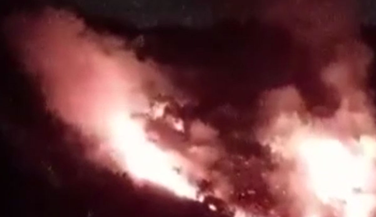 Pendik'te korkutan orman yangını