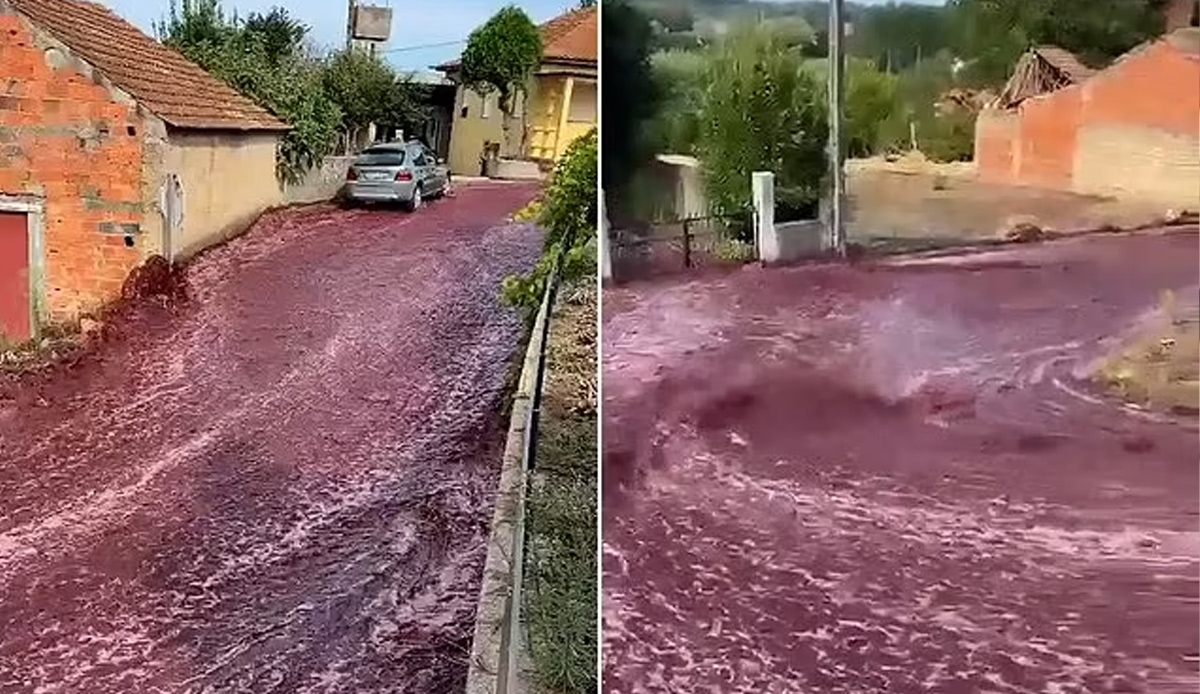 Dökülen 2.2 milyon litre şarap sele neden oldu: Güvenlik uyarısı yapıldı