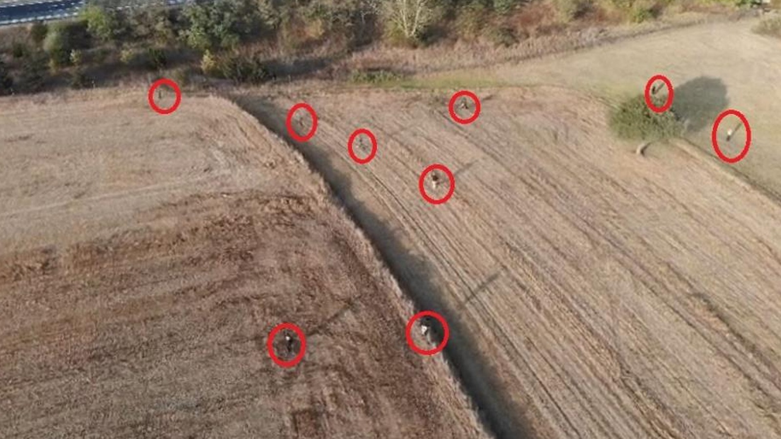 Tarlada göçmen kovalamacası: 122 göçmen yakalandı