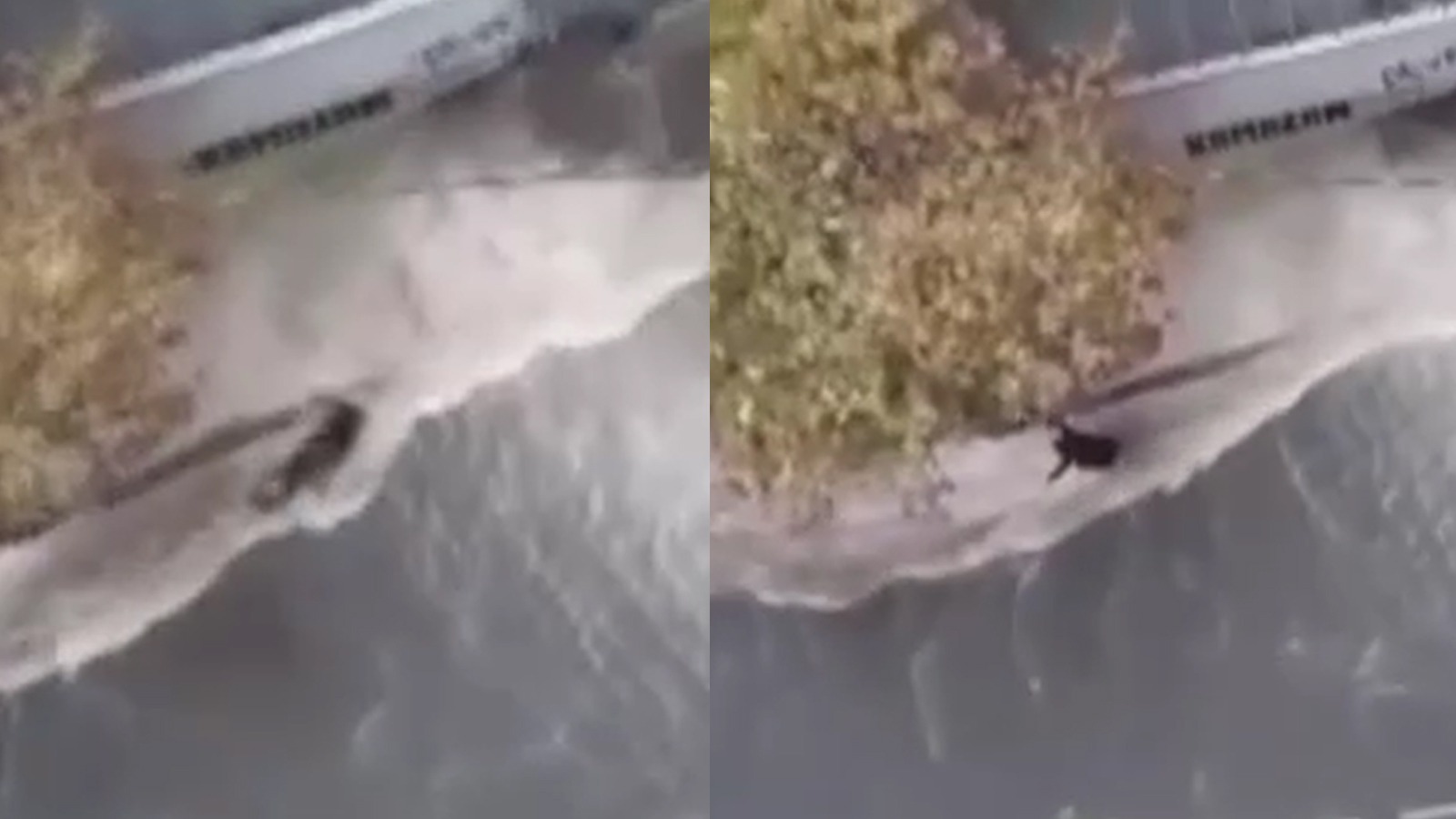 Gaziosmanpaşa'da sele kapılan bir kadın metrelerce sürüklendi! Dehşet anı kamerada
