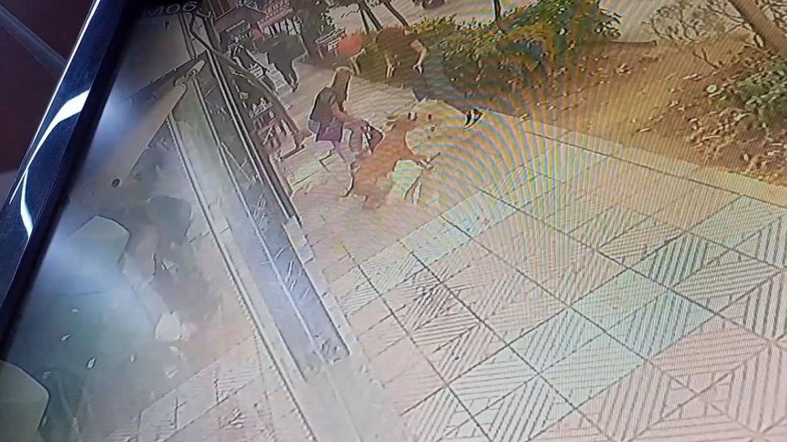 Başıboş Pitbull dehşet saçtı, kimse müdahale edemedi!