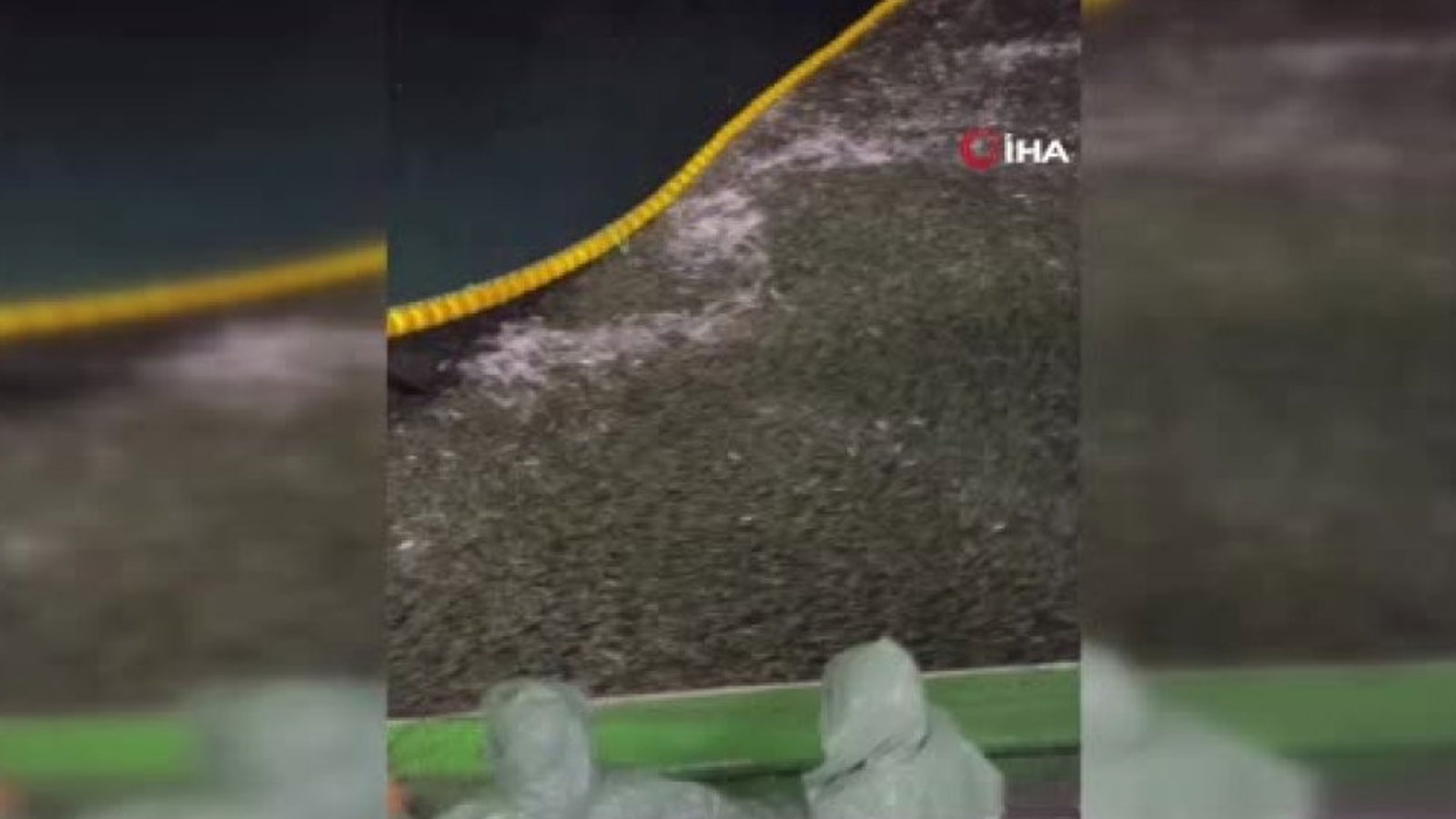 Çanakkale'de rekor av! Tam 75 ton balığı tekneye çektiler
