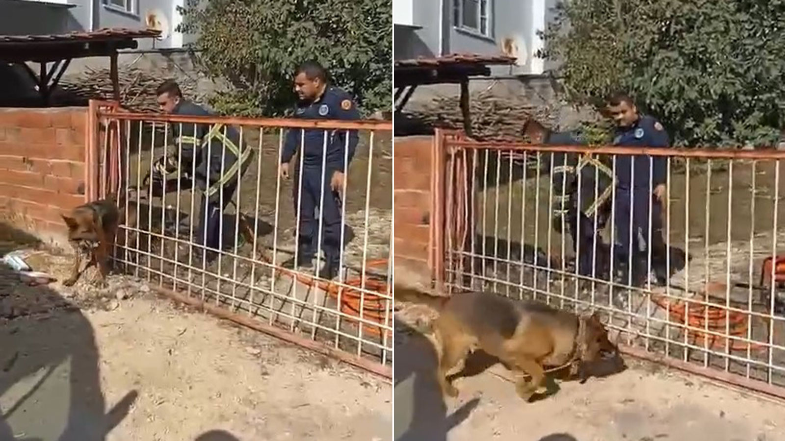 Demir kapıya sıkışan köpeğin imdadına itfaiye ekipleri yetişti
