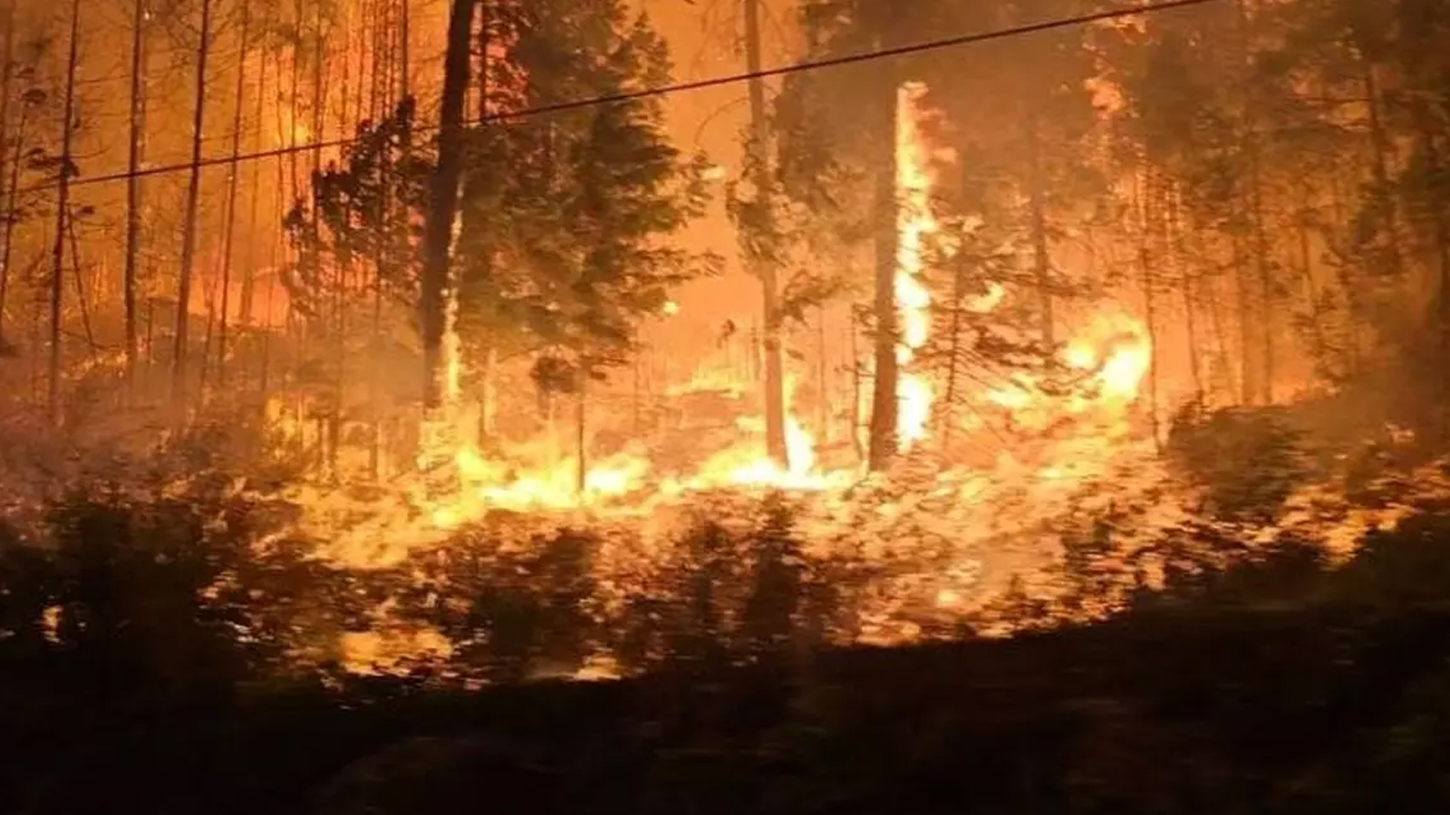 İspanya'da yangın paniği: 3 bin kişi tahliye edildi