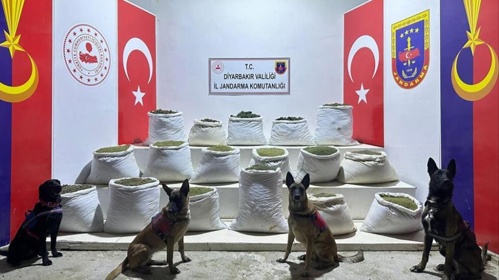 Diyarbakır’da terörün finans kaynağına ağır darbe: 2 milyon 64 bin kök kenevir ve skunk ile 812 kilo esrar ele geçirildi