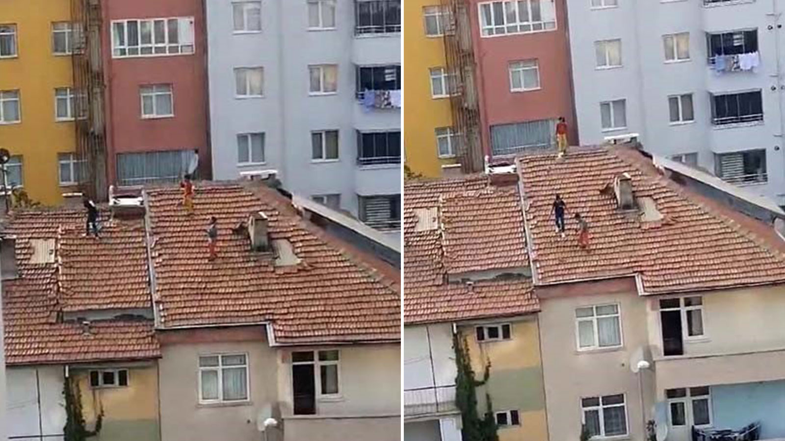 Küçük çocuklar güvercin yakalamak için çatıya çıktı