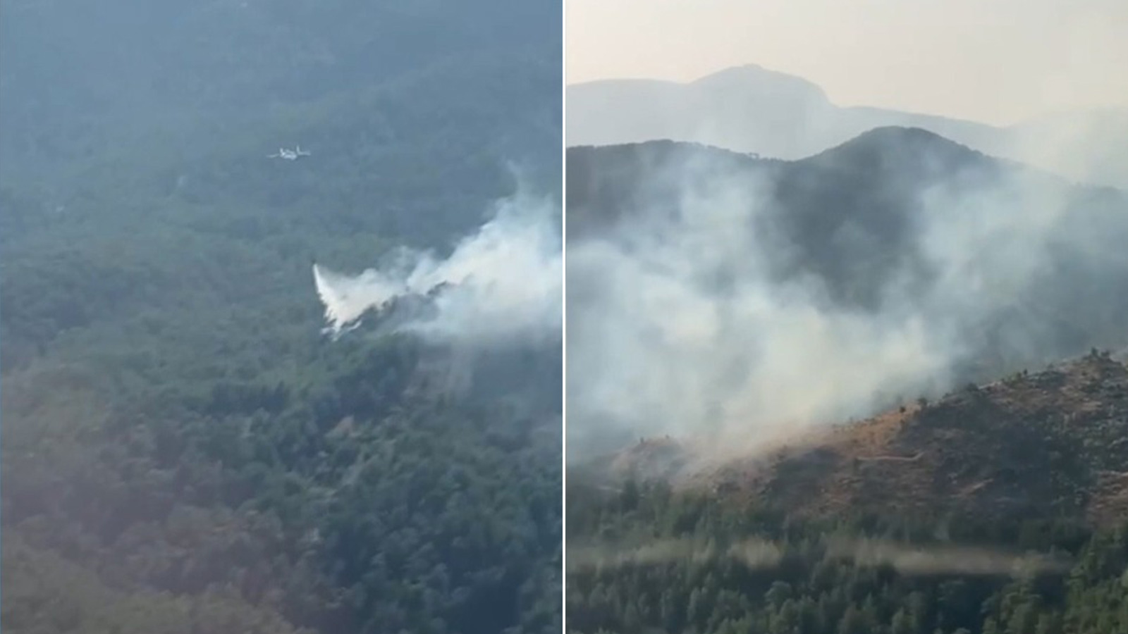 Muğla Köyceğiz'de orman yangını: Ekipler müdahale ediyor