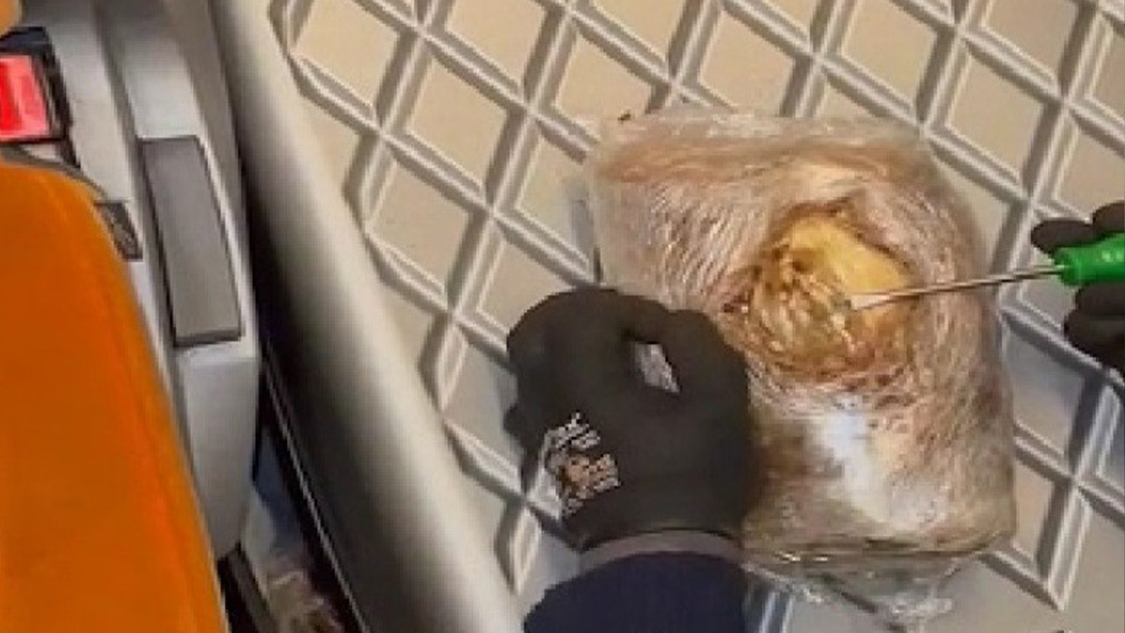 Yolcu otobüsünde ele geçirildi! Tam 12 kilo 700 gram