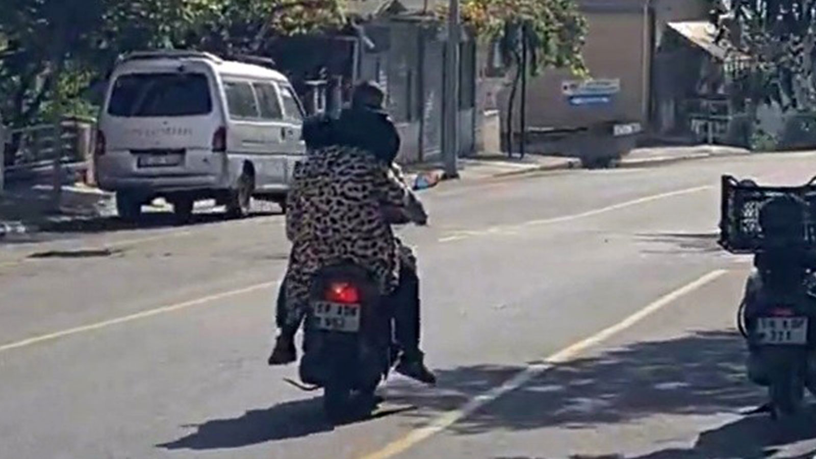 Tehlikeli yolculuk! Görenler şoke oldu: Motosiklet üstündeyken çocuğu omzunda taşıdı