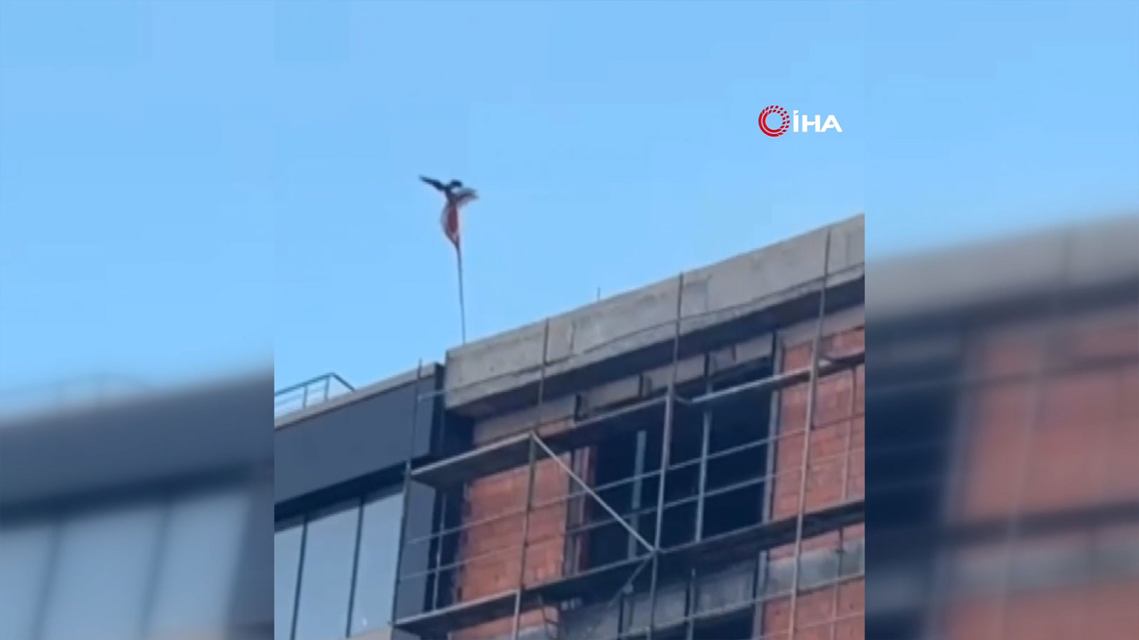 Karga direğe dolanan Türk bayrağını düzeltmek için uğraştı! İşte o anlar...