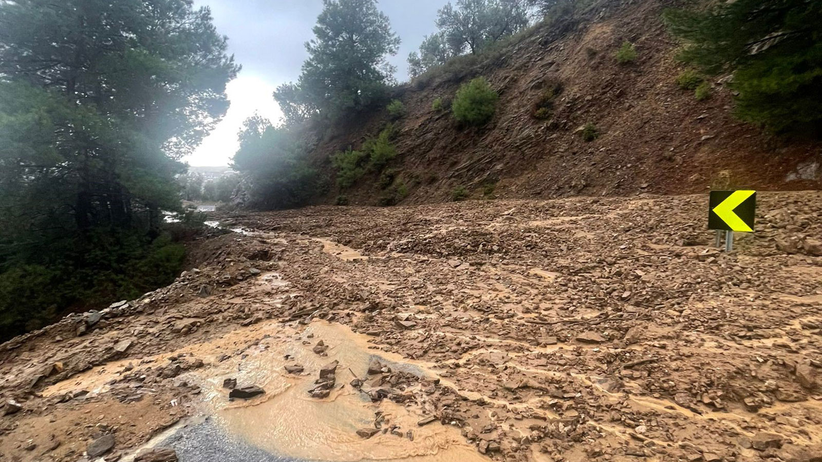 Edremit’te heyelan korkuttu, yol kapandı