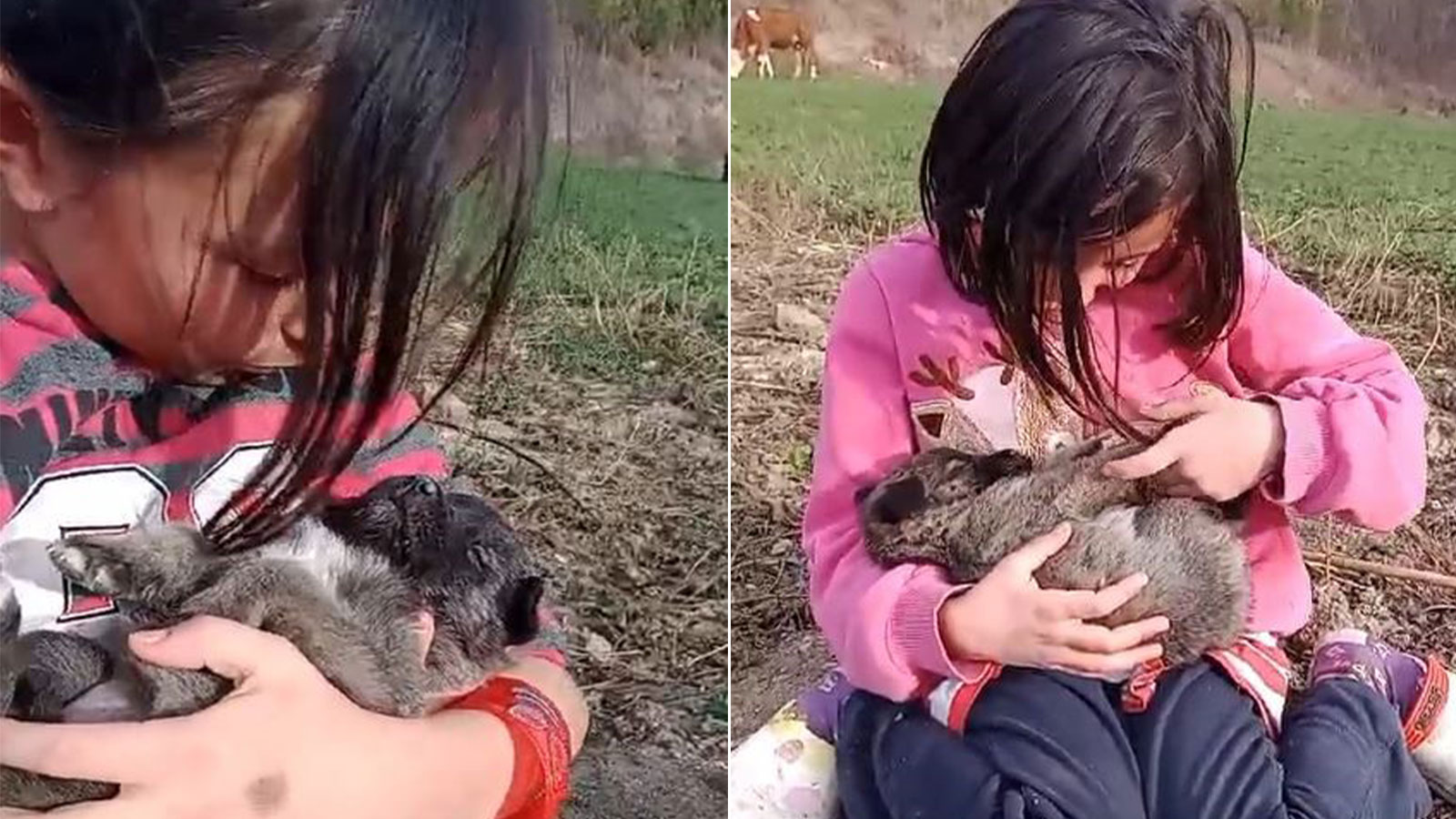 Sivas’ta çocukların köpek sevgisi kameraya yansıdı