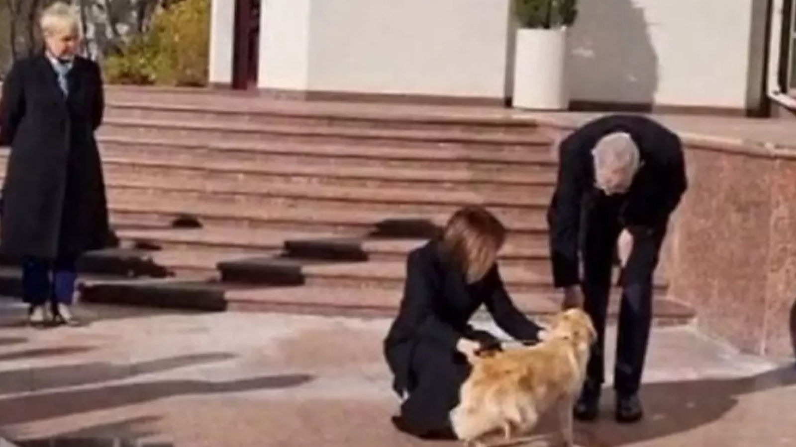 Moldova liderinin köpeği Avusturya Cumhurbaşkanı'nı ısırdı