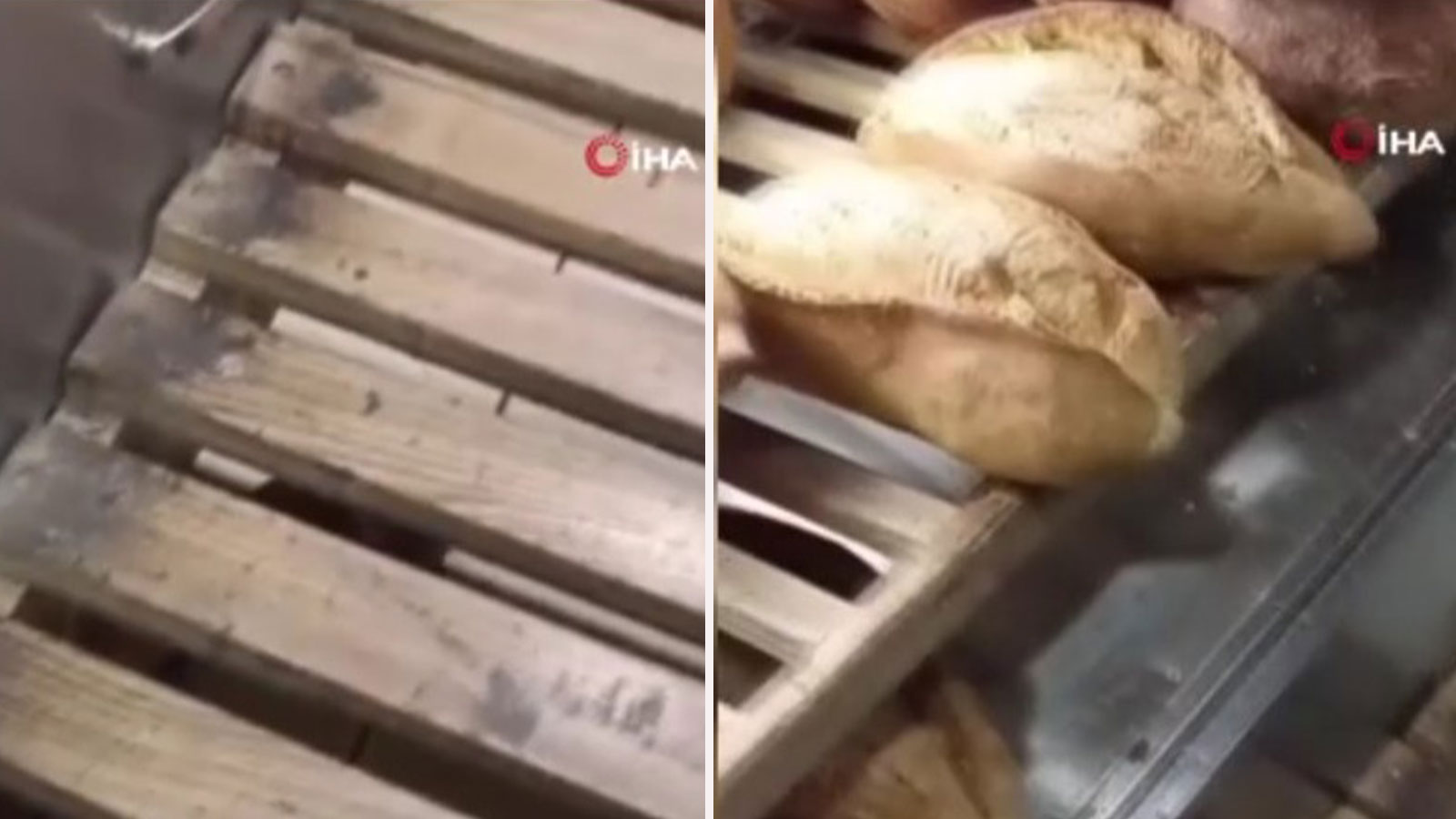Ankara'da mide bulandıran görüntüler! Lağım faresi unlu mamuller dükkanında kol gezdi