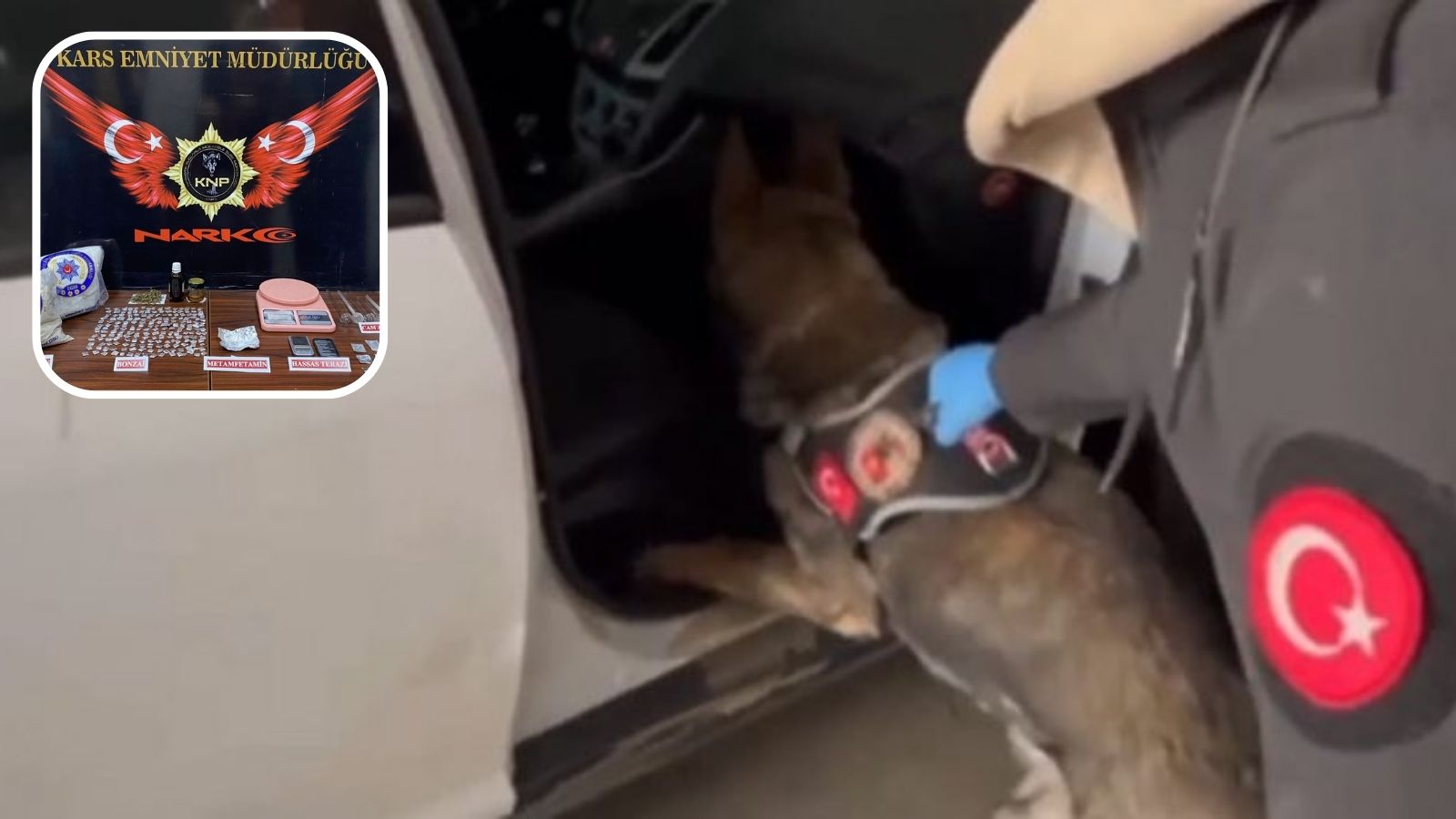 Kargoyla gönderilen uyuşturucuyu narkotik köpeği 'Daxo' buldu