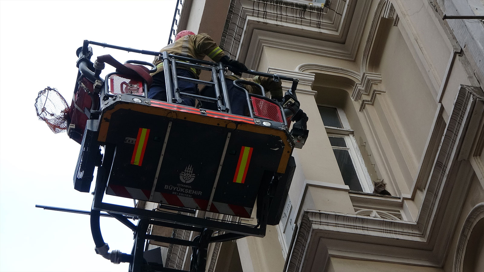İstiklal Caddesi’nde kedi kurtarma operasyonu