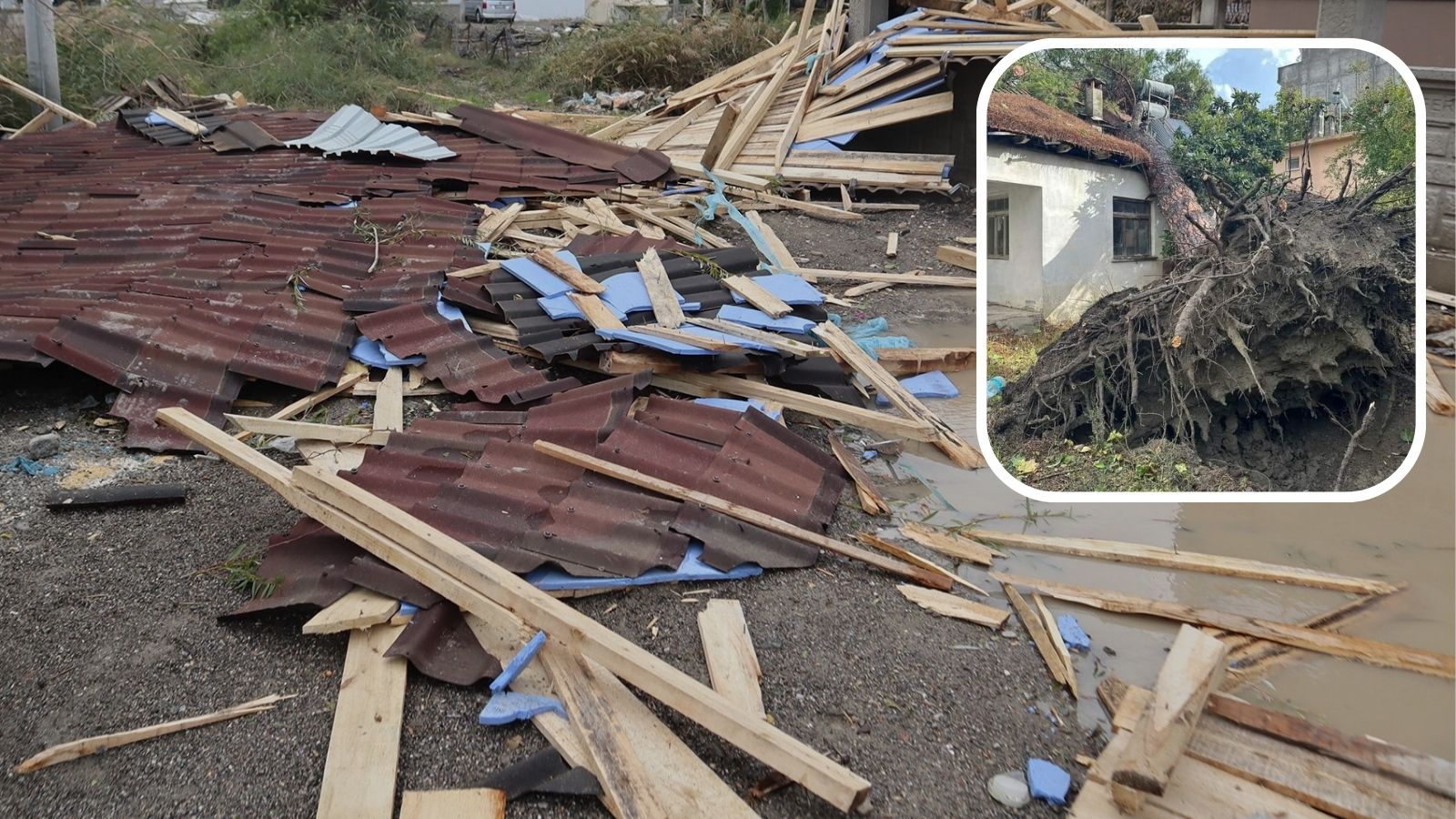Meteoroloji üst üste uyarmıştı: Hortum çatıları uçurdu, ağaçları kökünden söktü