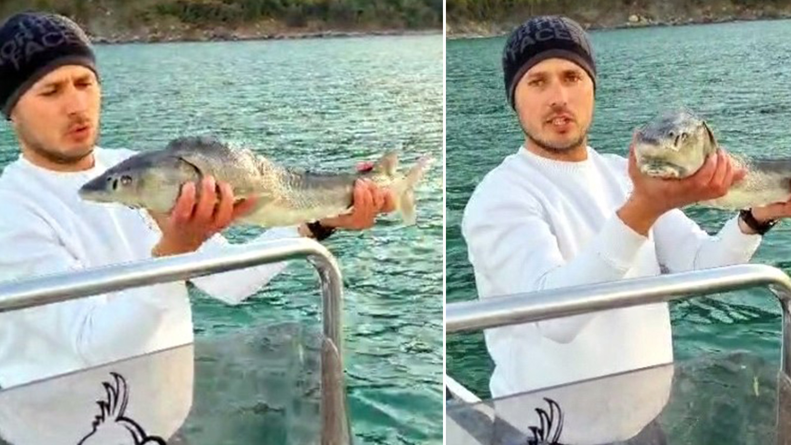 Değeri 2 milyon lira olan balığı suya bıraktı