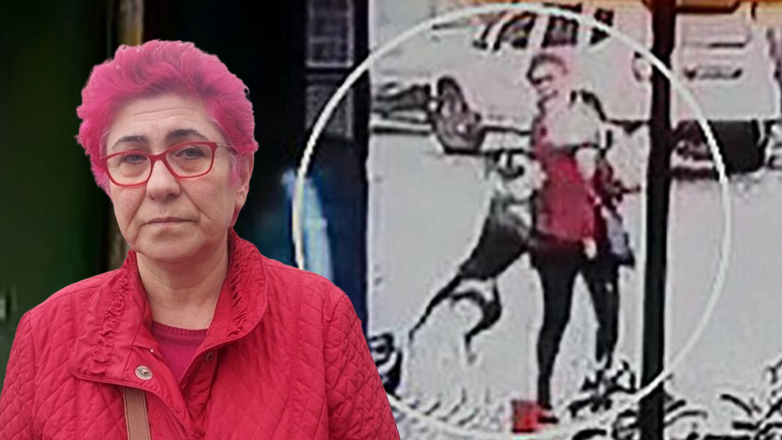 Başıboş pitbull dehşeti: Kadın ve köpeği yaralandı