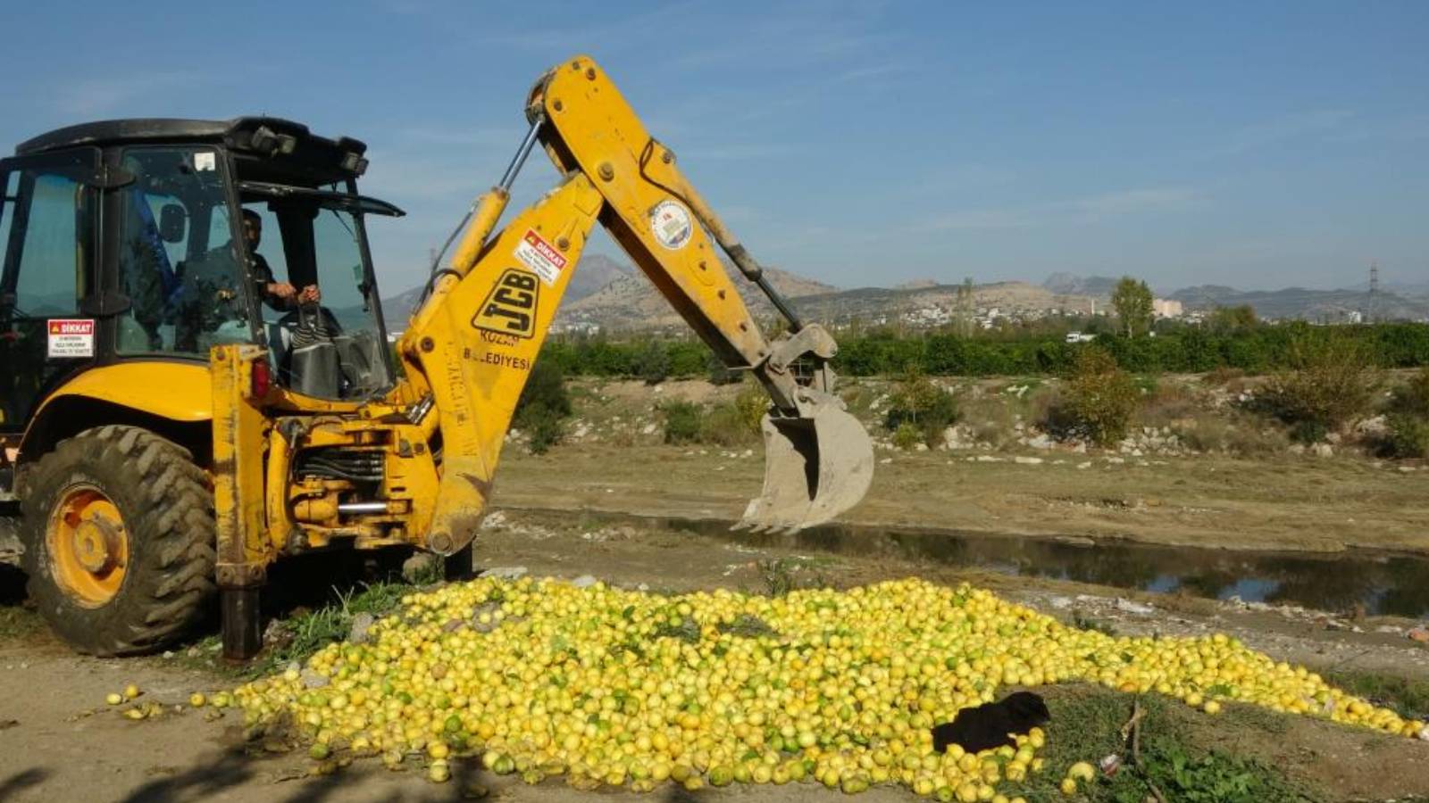Adana'da 20 tona yakın limon dere yatağına döküldü!