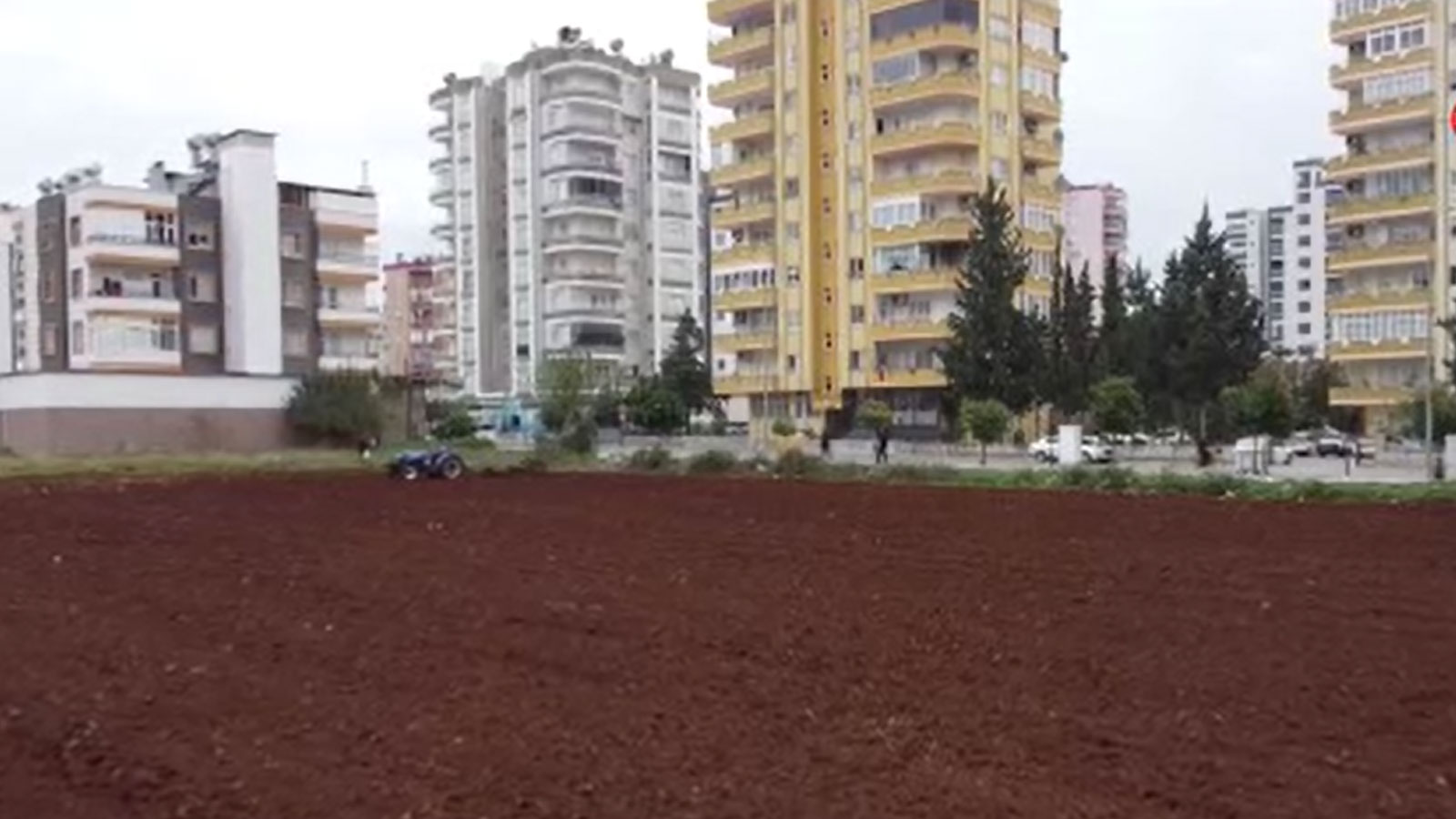 Binaların arasında çiftçilik yapıyor, tarımdan kopmamak için milyonları reddetti