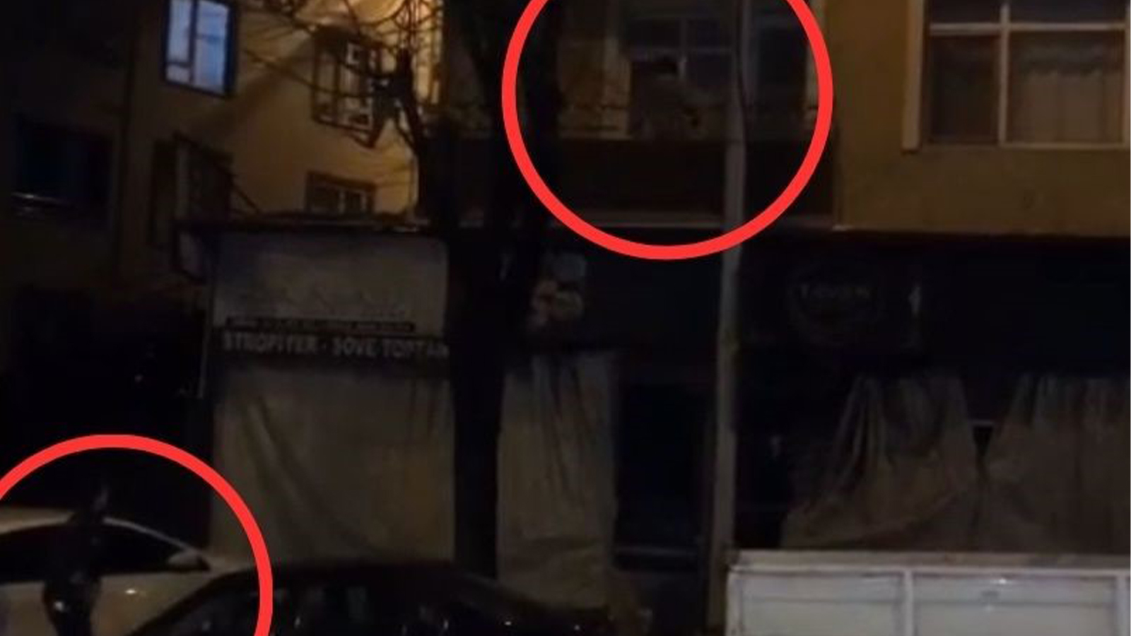 Tarzan hırsız bu sefer yakayı ele verdi