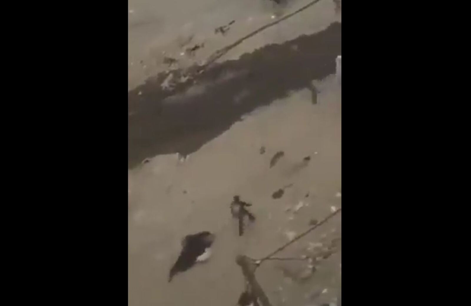 İsrail'in acımasız katliamı sürüyor! Keskin nişancı çocuğun yanında anneyi vurdu