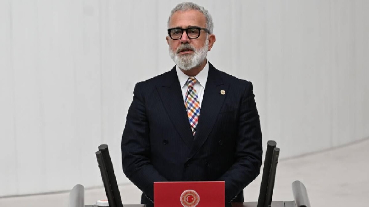 Sokak hayvanlarına yönelik düzenleme yolda! AK Partili Yenişehirlioğlu: Meclis kapanmadan TBMM'ye sunacağız - 1. Resim