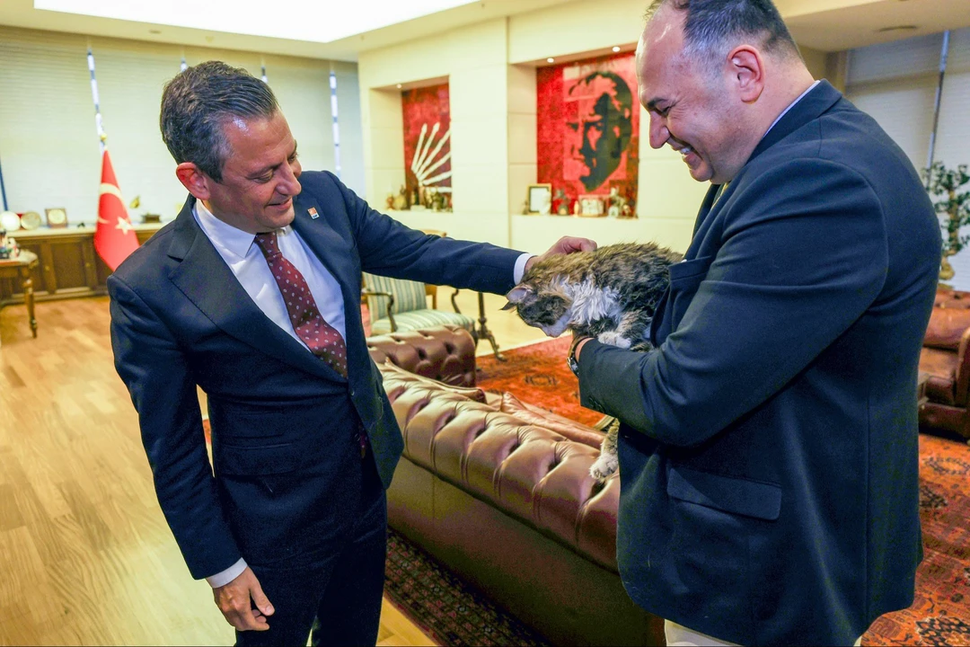 Özgür Özel paylaştı: CHP'nin meşhur kedisi Şero'nun sağlık durumu nasıl? - 2. Resim