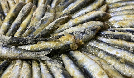 Balık nasıl pişirilmelidir?  Hangi balık nasıl pişirilir? Balık pişirirken nelere dikkat edilmeli? İşte balık pişirmenin püf noktaları - saglik