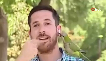 Soygun haberi yaparken soyuldu: Kapkaççı kuş kulaklığını çaldı - dunya
