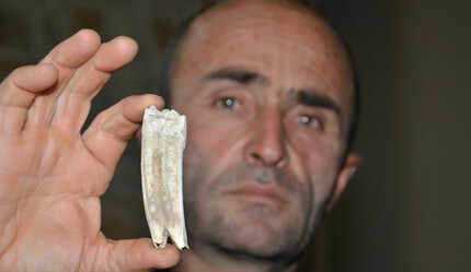 Kuzu otlatırken tesadüfen buldu: Taş sandı, 16 milyon yıllık fosil çıktı - teknoloji