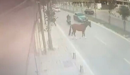 İstanbul'da ilginç kaza! Yoldaki ata motosiklet çarptı, o anlar kamerada - gundem